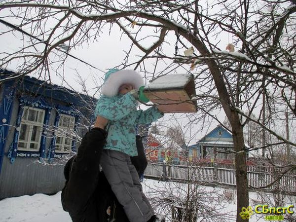 Природа родных мест