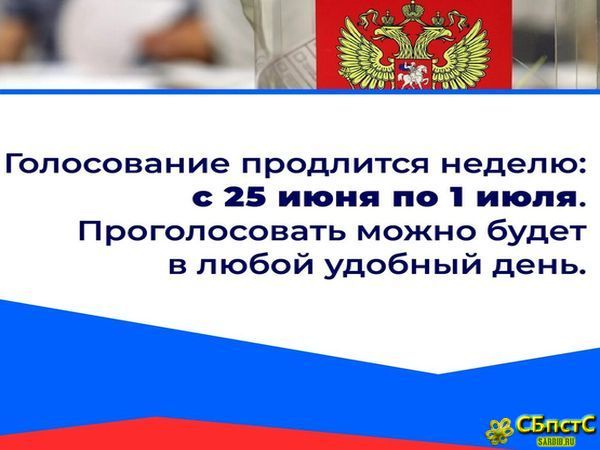 Выборы. Конституция