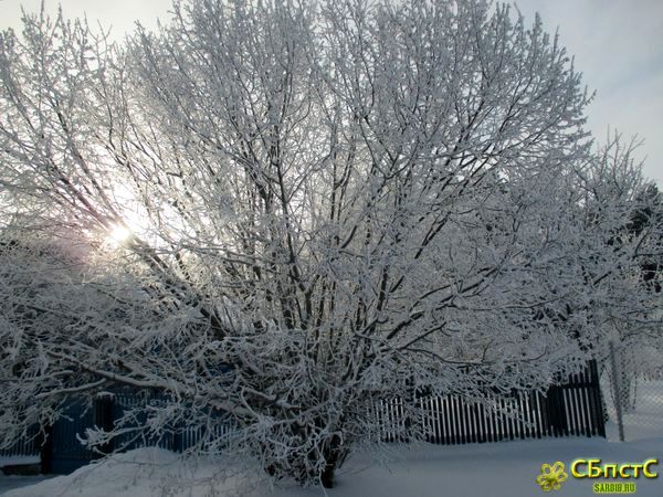 Жизнь и любовь