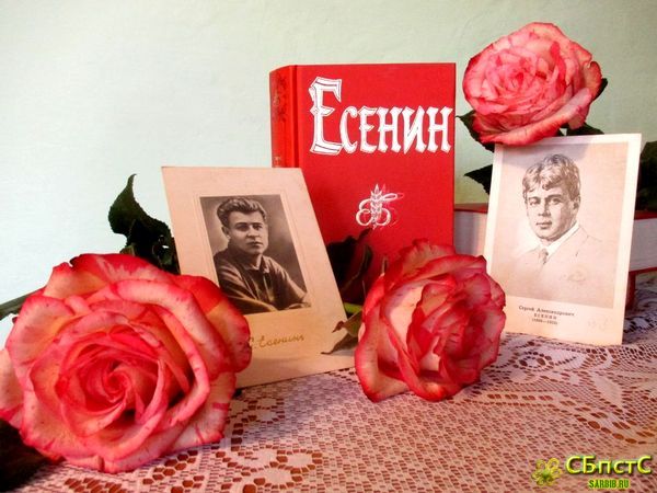 Эту жизнь за всё благодарю