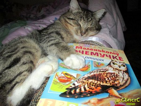 Певец русской природы