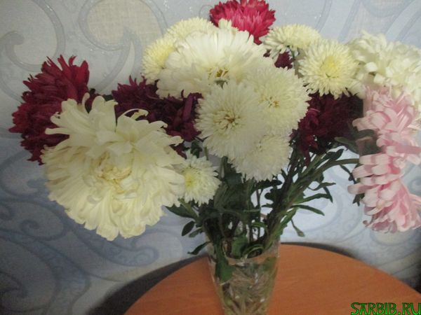 Зелёный патруль